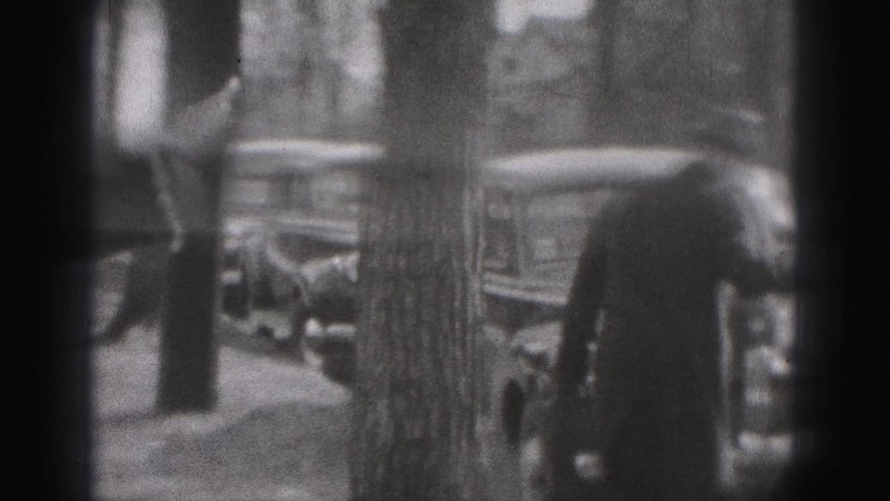A woman walks away along a residential sidewalk in New Cumberland, with parked 1940s cars and a tree in the foreground.