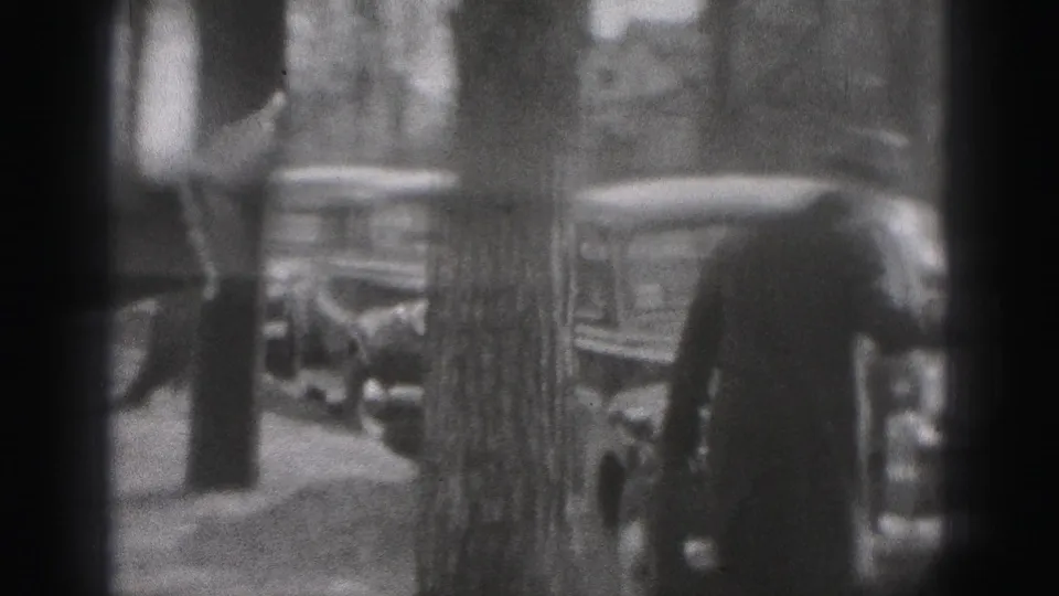A woman walks away along a residential sidewalk in New Cumberland, with parked 1940s cars and a tree in the foreground.