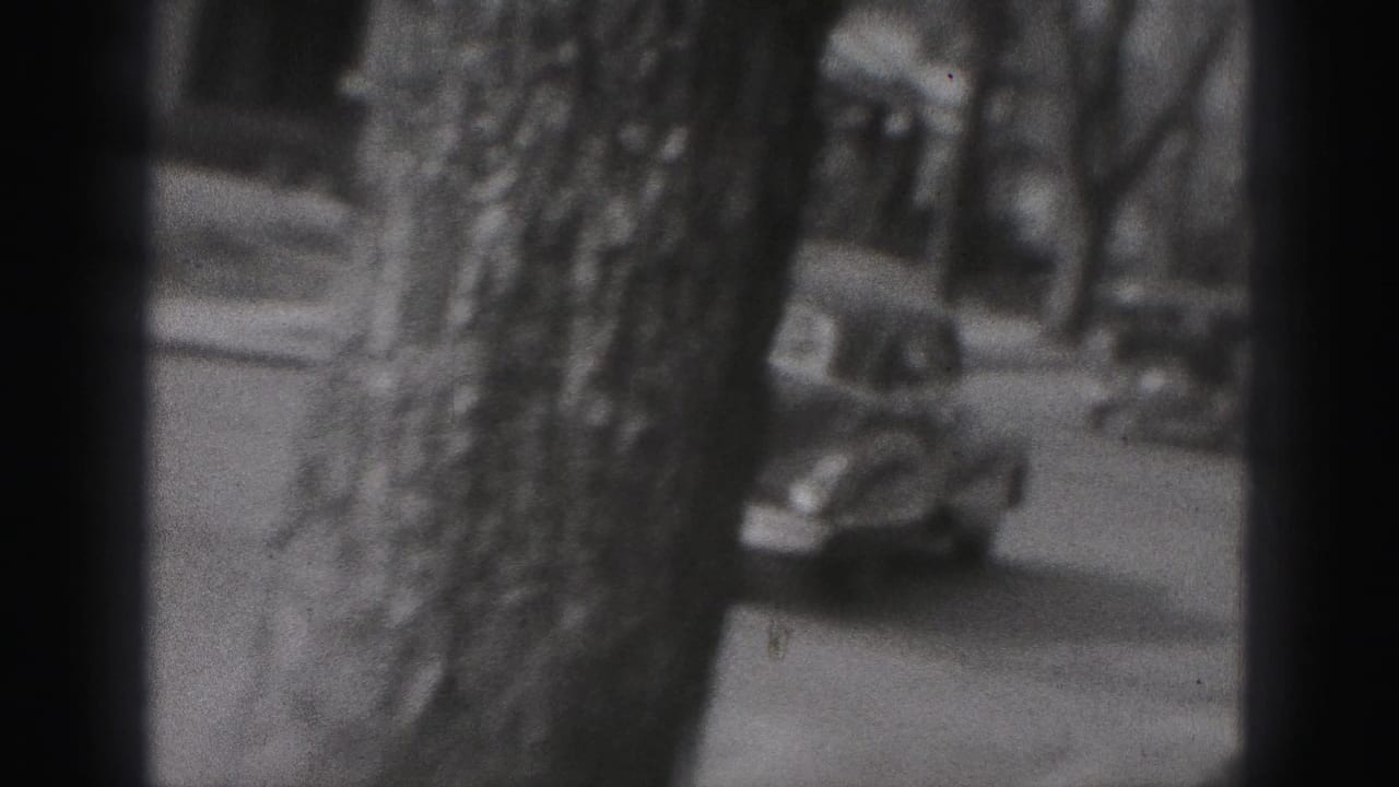 A woman stands near a tree on a New Cumberland street in 1946 while the car continues away in the background.