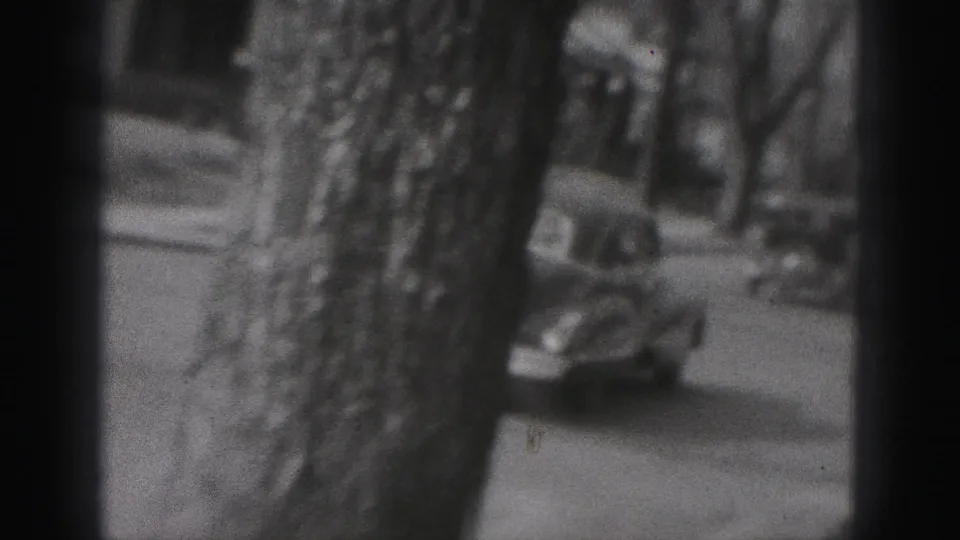 A woman stands near a tree on a New Cumberland street in 1946 while the car continues away in the background.