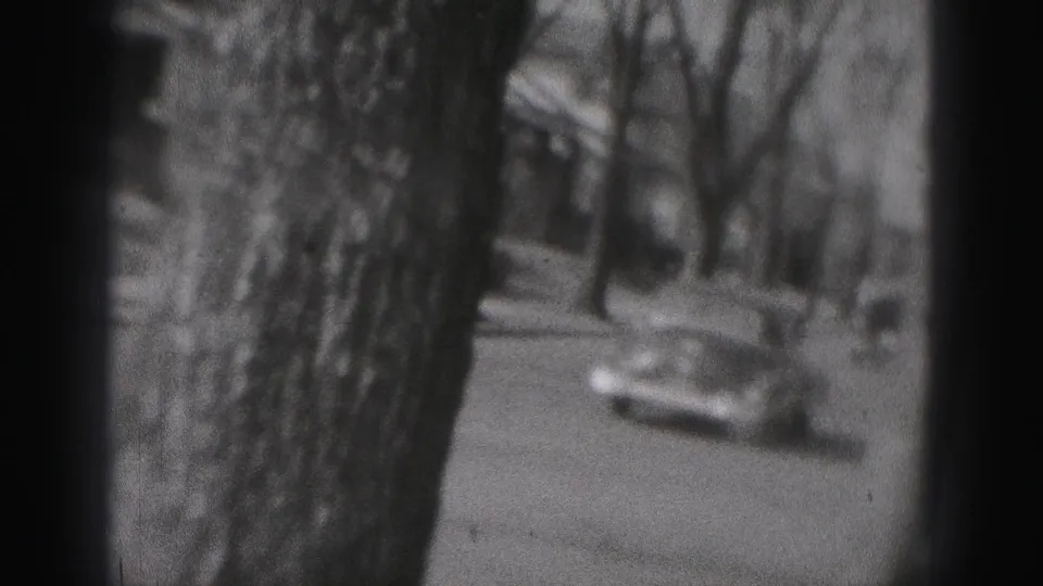 1946 New Cumberland home-movie frame showing tree trunks, leafless branches, and a car moving along a residential street.