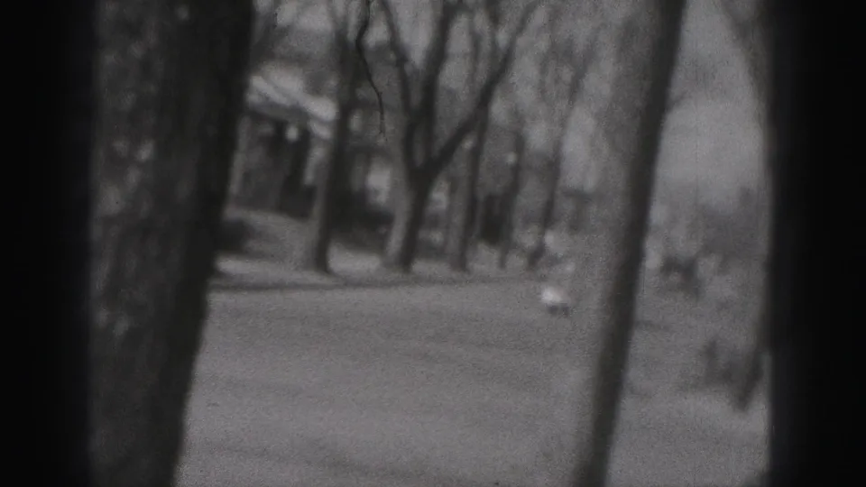 1946 New Cumberland street view with dark tree trunks, bare branches, and a soft glimpse of a car or roadside shape.