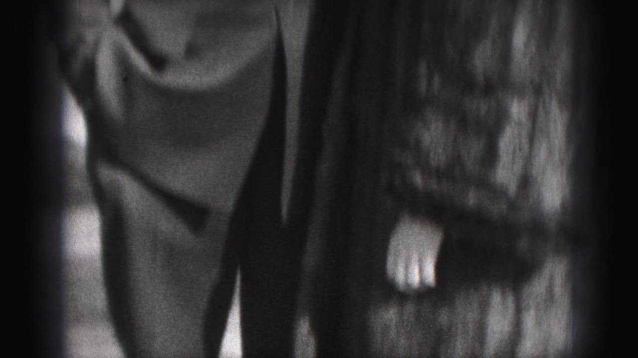 A cropped, softly focused final frame shows part of the woman’s fur coat and the uniformed man as the home-movie camera moves in close.