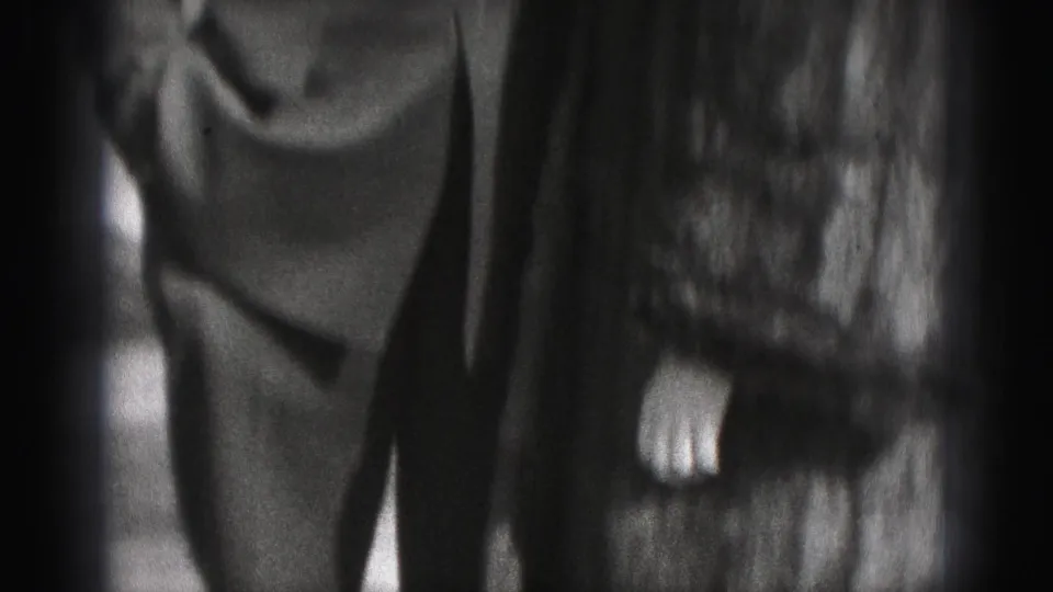 A cropped, softly focused final frame shows part of the woman’s fur coat and the uniformed man as the home-movie camera moves in close.