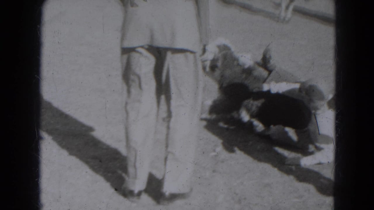 1947 Lincoln, Nebraska frame with adults' lower bodies and two small animal forms on sunlit ground.