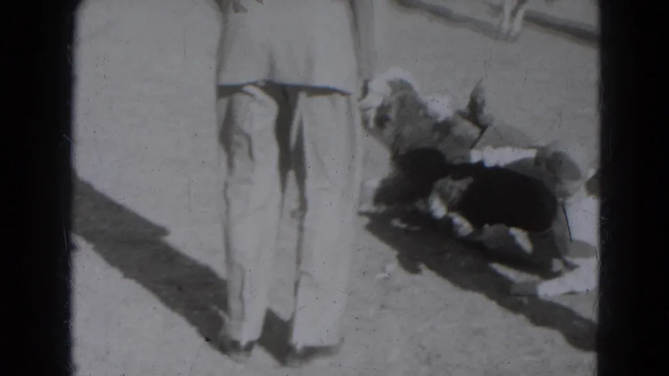 1947 Lincoln, Nebraska frame with adults' lower bodies and two small animal forms on sunlit ground.