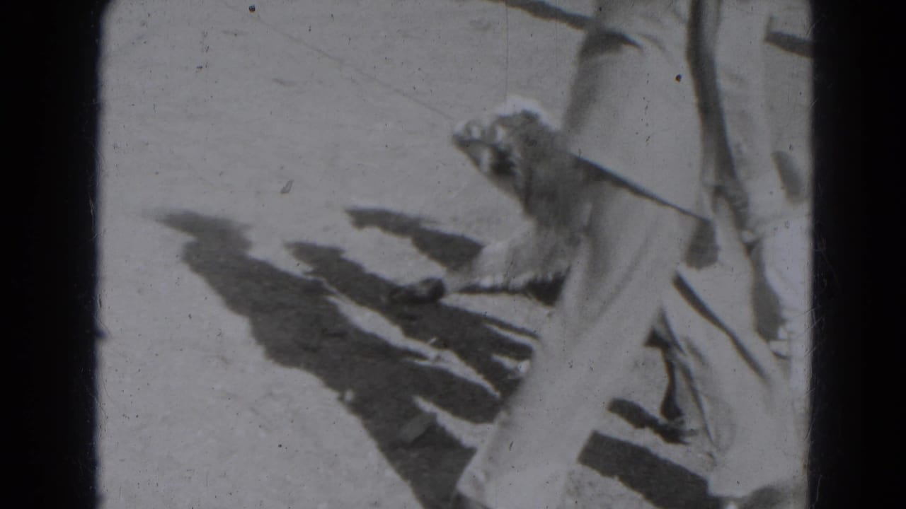 Black-and-white 8mm frame showing a cropped adult and a small animal form on bright ground in 1947 Lincoln, Nebraska footage.