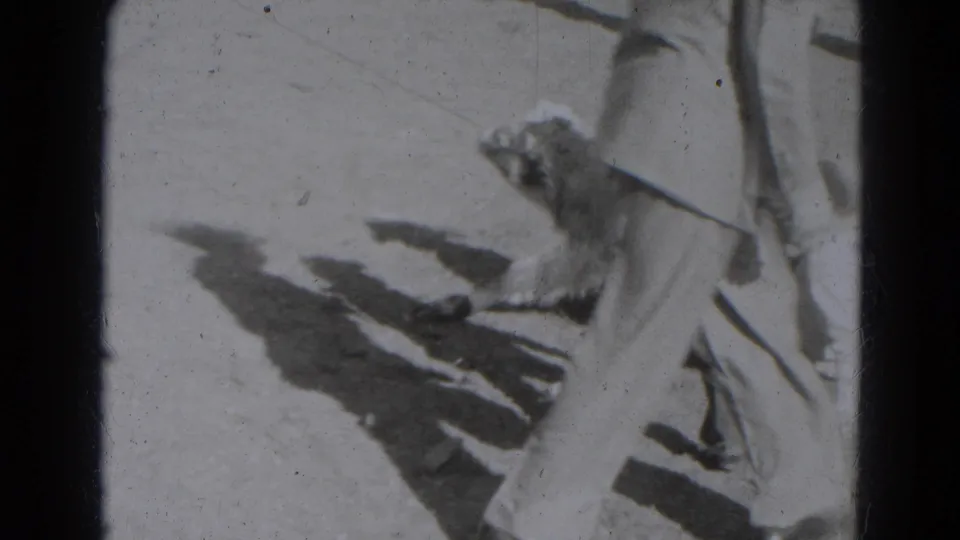 Black-and-white 8mm frame showing a cropped adult and a small animal form on bright ground in 1947 Lincoln, Nebraska footage.