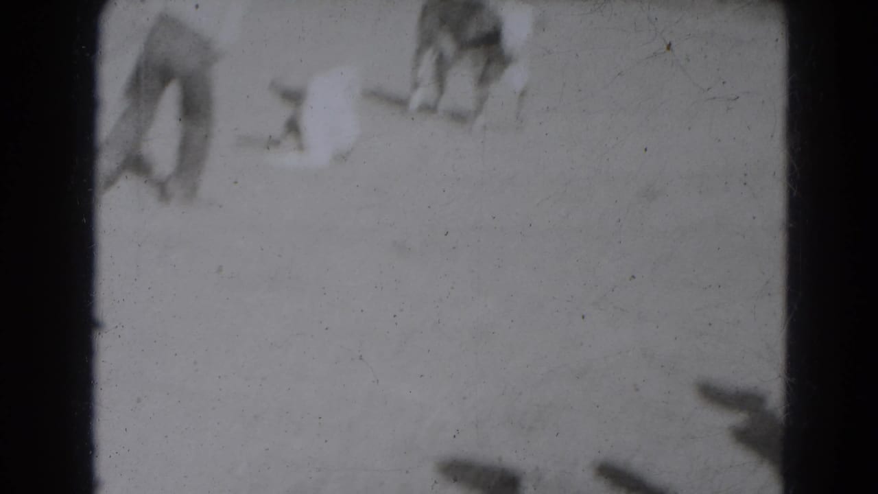 Several blurred figures stand in an open yard near a calf or roping activity.