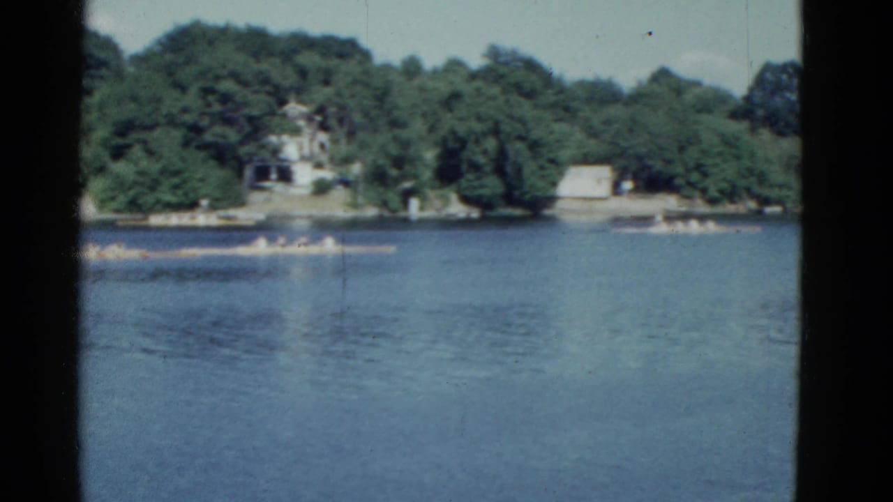 Rowing shells on a lake with trees and houses along the far shoreline.