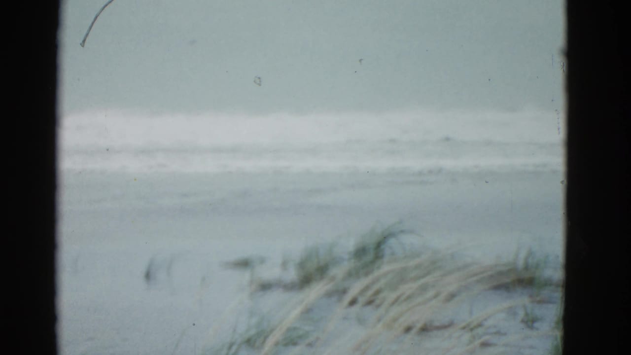 Rough ocean surf beyond dune grass, seen through dark vertical frame edges.