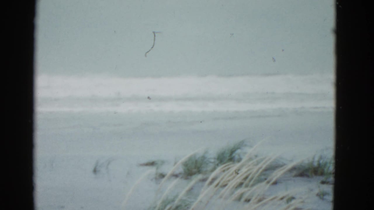 Pale surf line and dune grass framed by dark vertical borders.