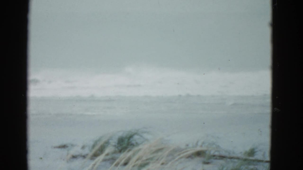 Gray waves roll behind beach grass in a soft 8mm coastal view.