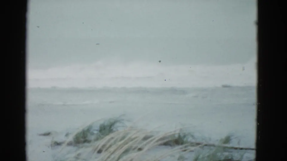 1951 8mm coastal frame from Boston metadata, showing wind-bent beach grass, rough water, and a washed gray horizon.