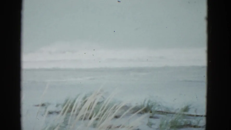 Muted 1951 Boston-area beach view with blurred surf, overcast sky, foreground dune grass, and dark framing along the sides.