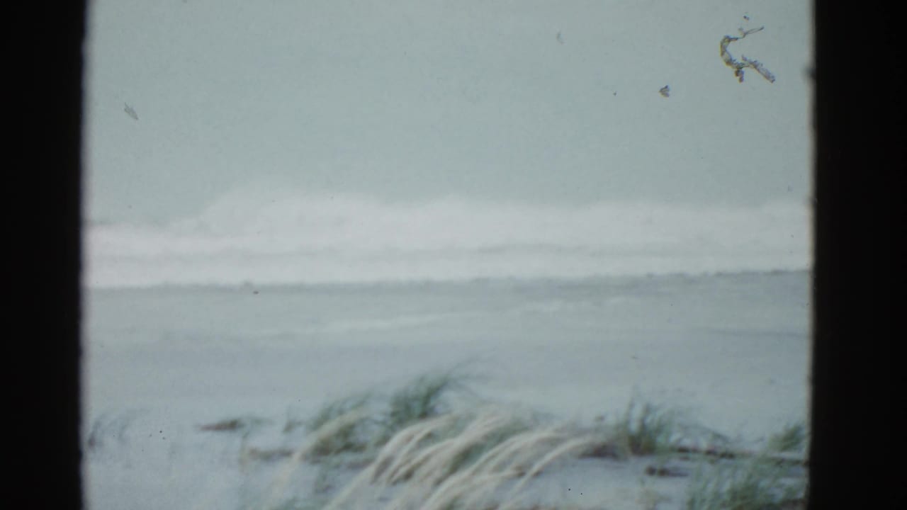 1951 8mm home-movie frame of a Boston-area shoreline with dune grass in the foreground and low waves offshore.