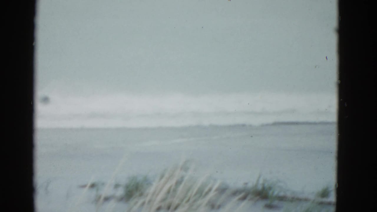 Dune grass and a low shoreline with soft waves in the distance.