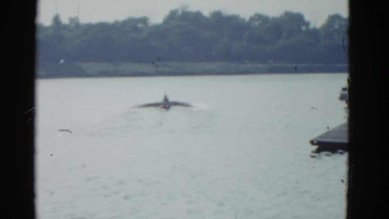 Small craft or object moving across open water near a dock edge and distant shore.