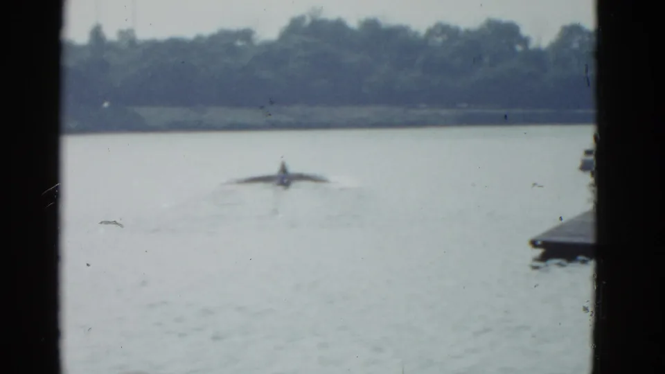 1951 Boston-area lake footage frame with a small distant craft or ambiguous object moving on the water, leaving a soft wake beneath a tree-lined far shore.