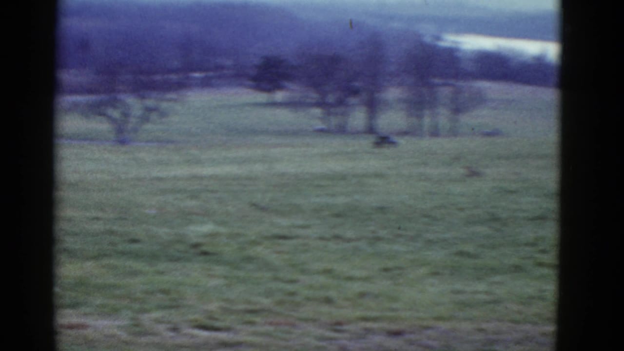 Open grassy field with distant trees and pale landscape beyond, with no clear person in frame.