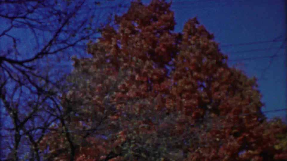 1958 Kansas 8mm frame showing autumn treetops, bare branches, deep blue sky, and faint utility lines near the edge.