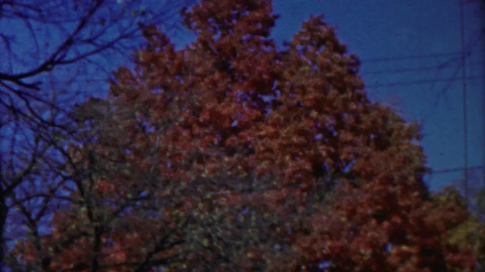 1958 Cheyenne County, Kansas 8mm frame showing a low-angle view of red and orange autumn treetops under blue sky.
