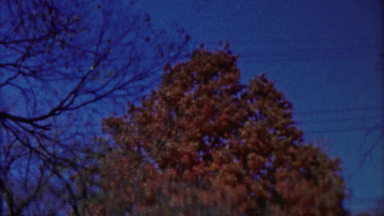 1958 Cheyenne County, Kansas 8mm frame with autumn treetops, sparse bare branches, and saturated blue sky.