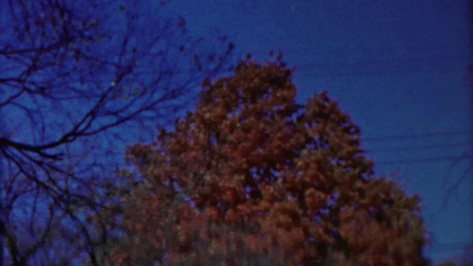 1958 Cheyenne County, Kansas 8mm frame with autumn treetops, sparse bare branches, and saturated blue sky.