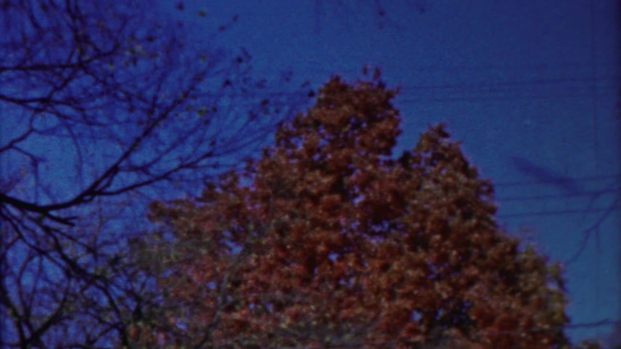 1958 Cheyenne County, Kansas home-movie frame showing windblown autumn trees, bare limbs, and faint overhead lines.