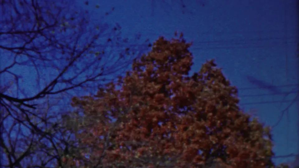 1958 Cheyenne County, Kansas home-movie frame showing windblown autumn trees, bare limbs, and faint overhead lines.