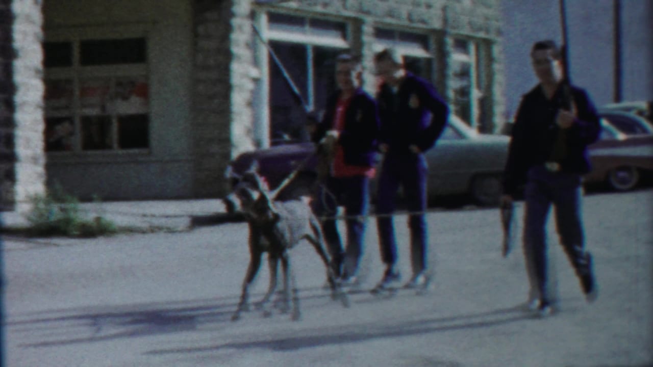 Two young men in casual clothing walk a large leashed dog past a stone-front building and mid-century cars in Cheyenne County, Kansas.