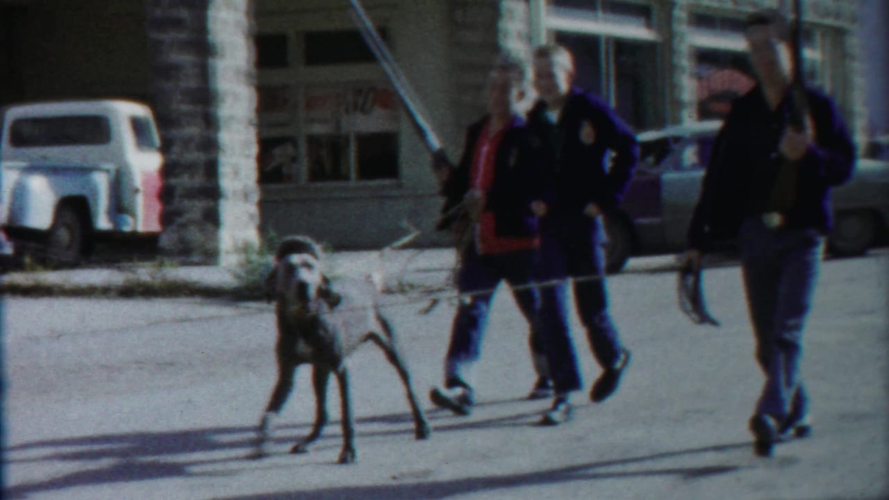 A large leashed dog moves in front of young men on a 1958 small-town Kansas street, with vintage vehicles and storefronts behind them.
