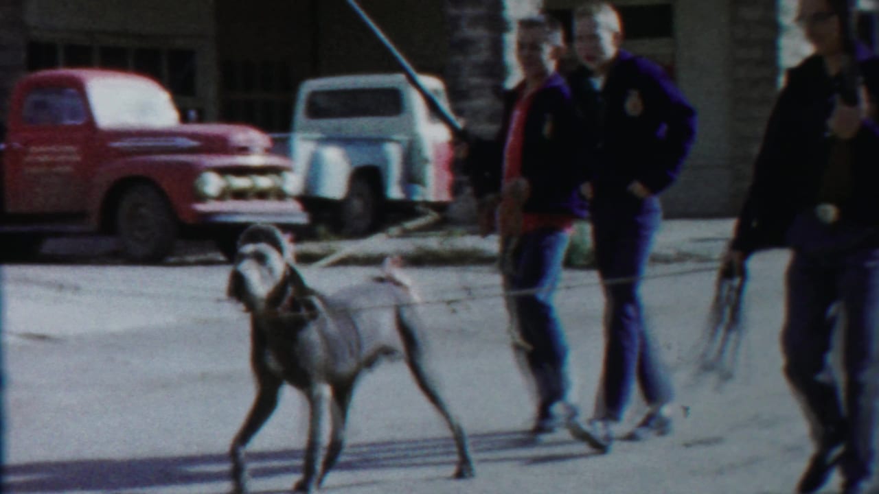 A large dog walks beside young men on a Cheyenne County street, with a red pickup, light truck, and storefronts in the background.