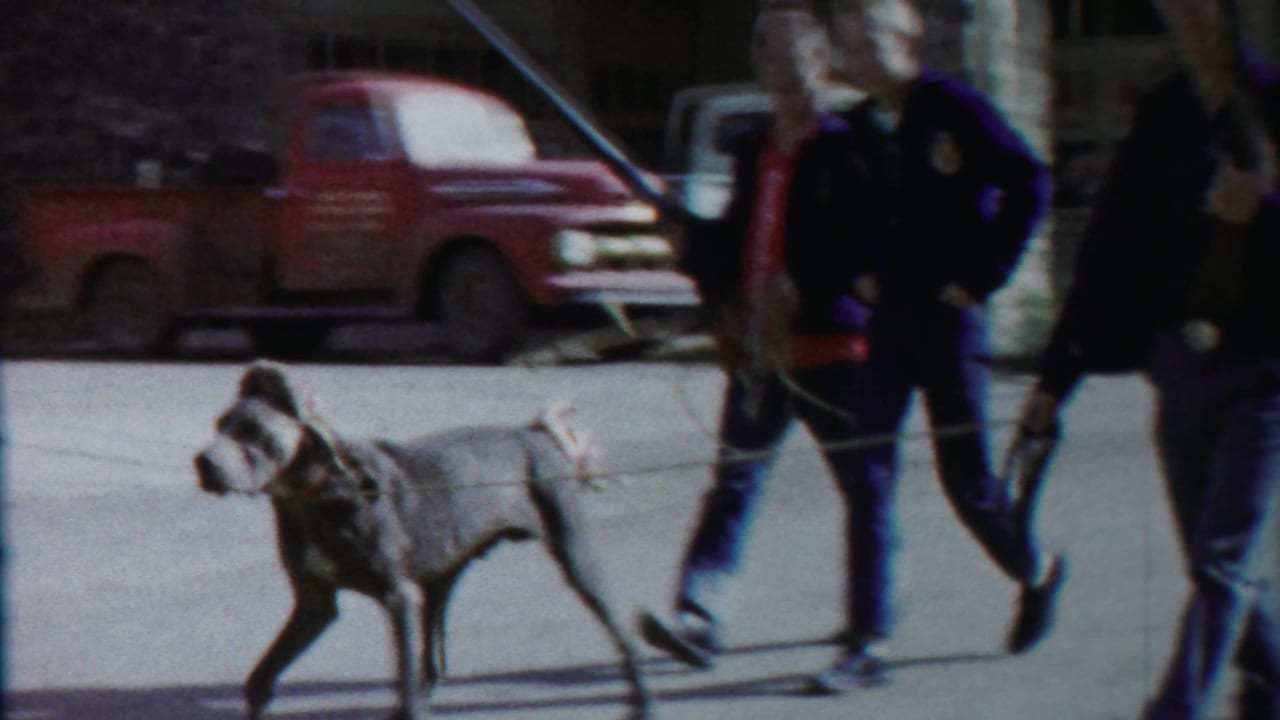 1958 Cheyenne County, Kansas parade view with a large gray dog on a leash, two men in dark jackets, and a red pickup in the background.
