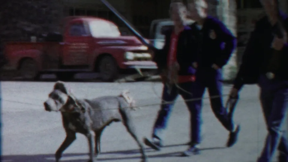 1958 Cheyenne County, Kansas parade view with a large gray dog on a leash, two men in dark jackets, and a red pickup in the background.