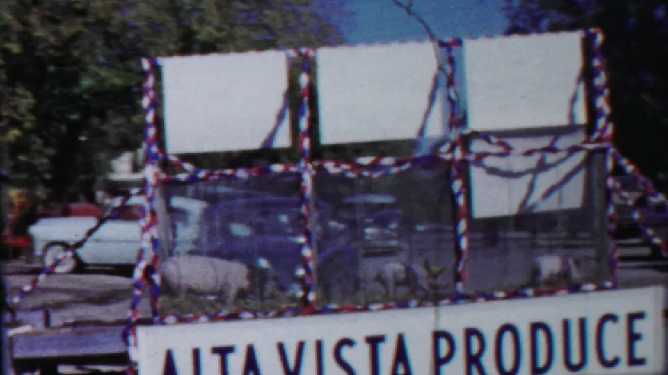 Parade float with pigs, patriotic trim, and Alta Vista Produce signage moves past cars and trees in 1958 Cheyenne County, Kansas footage.