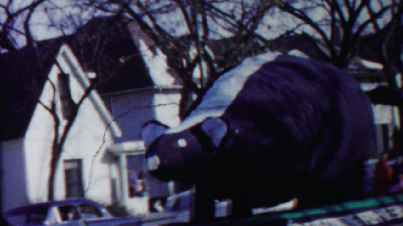 Large skunk float seen from the side in front of houses and parked cars.