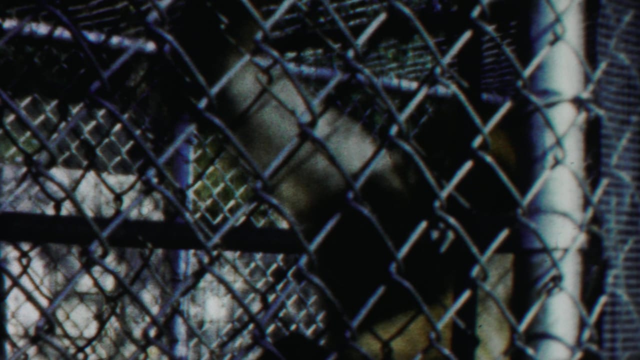 A primate appears near the wire fence and pipework inside a 1958 Kansas animal enclosure.