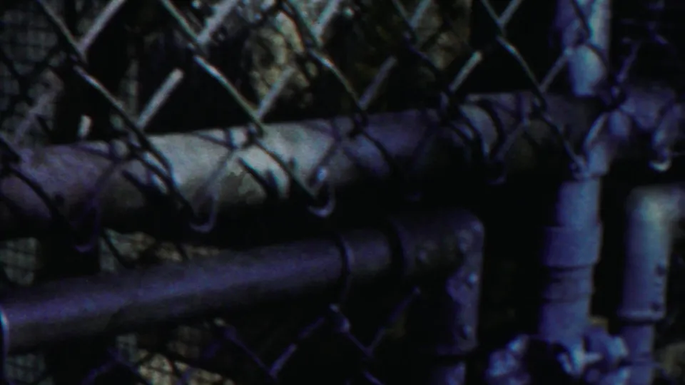 The camera looks through chain-link fencing toward a shadowed animal enclosure with pipes and stone surfaces.