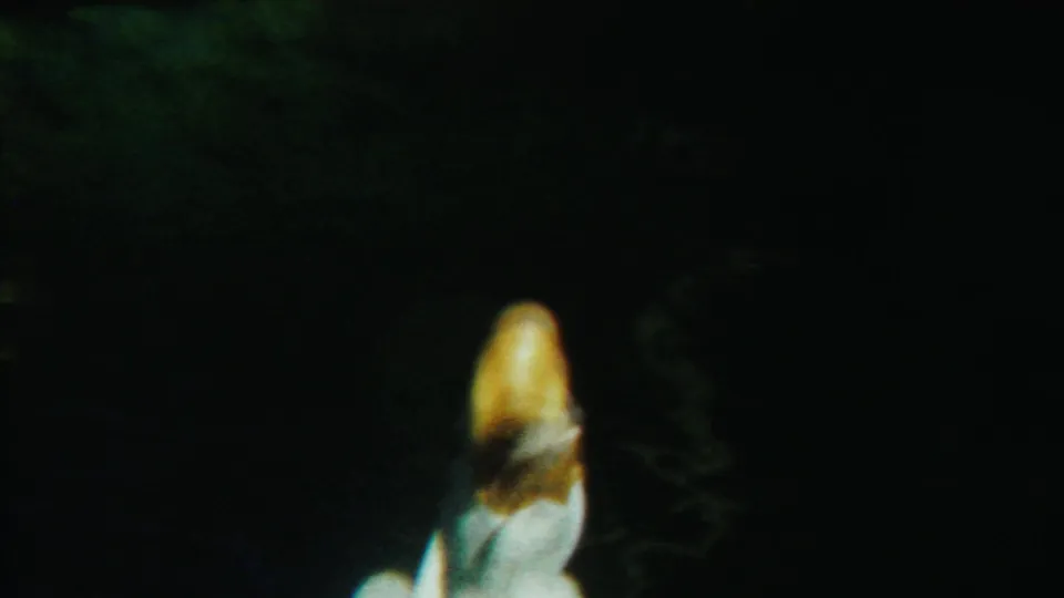 Low-light 1958 Kansas 8mm frame with a duck’s yellow beak and pale head emerging from darkness near the fenced enclosure.