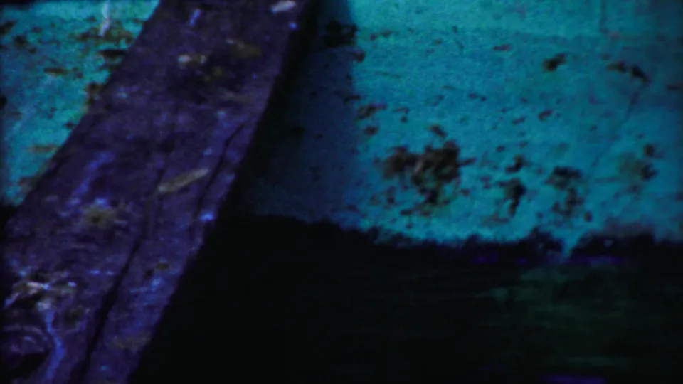 The frame shifts to a close, soft 8mm view of a turquoise surface and dark lower area, likely part of the same enclosure setting.