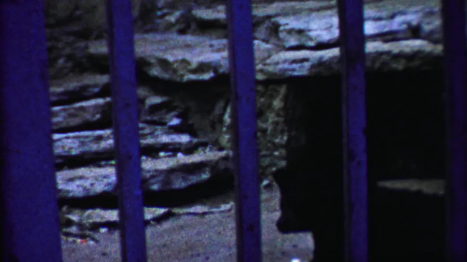 1958 Kansas 8mm frame showing purple enclosure bars, stonework, and a shadowed deer shape inside the zoo space.