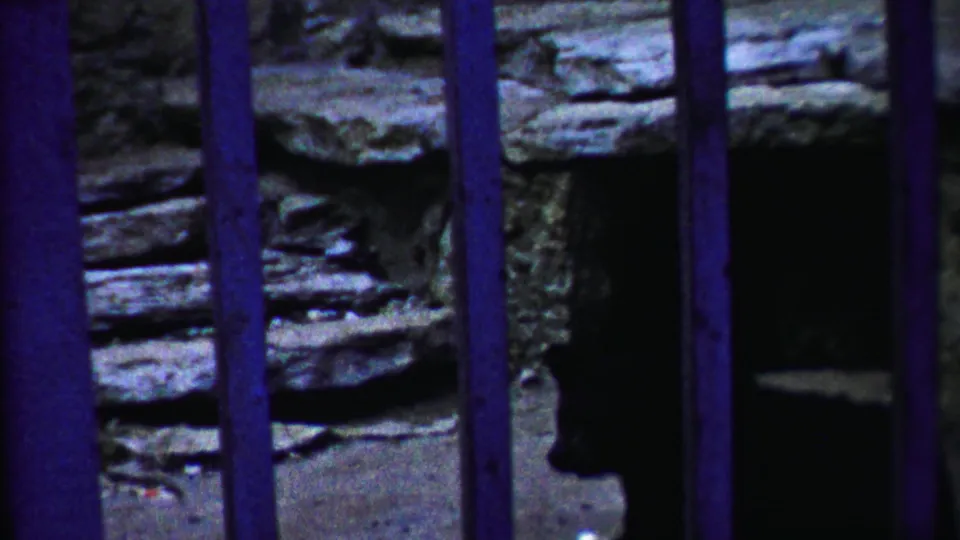 A dark bear stands behind blue-purple zoo bars against a stone wall in 1958 Kansas 8mm home-movie footage.