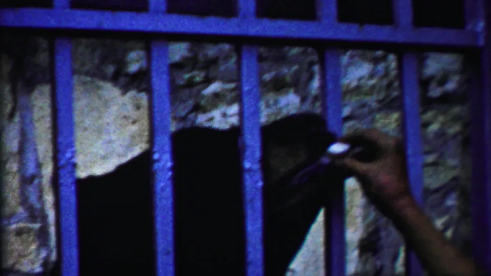 A person's hand reaches through the blue-purple bars to offer food to the bear in the 1958 zoo footage.