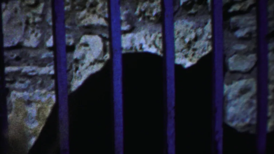 A deer appears in silhouette behind vertical cage bars in 1958 8mm footage from Cheyenne County, Kansas.