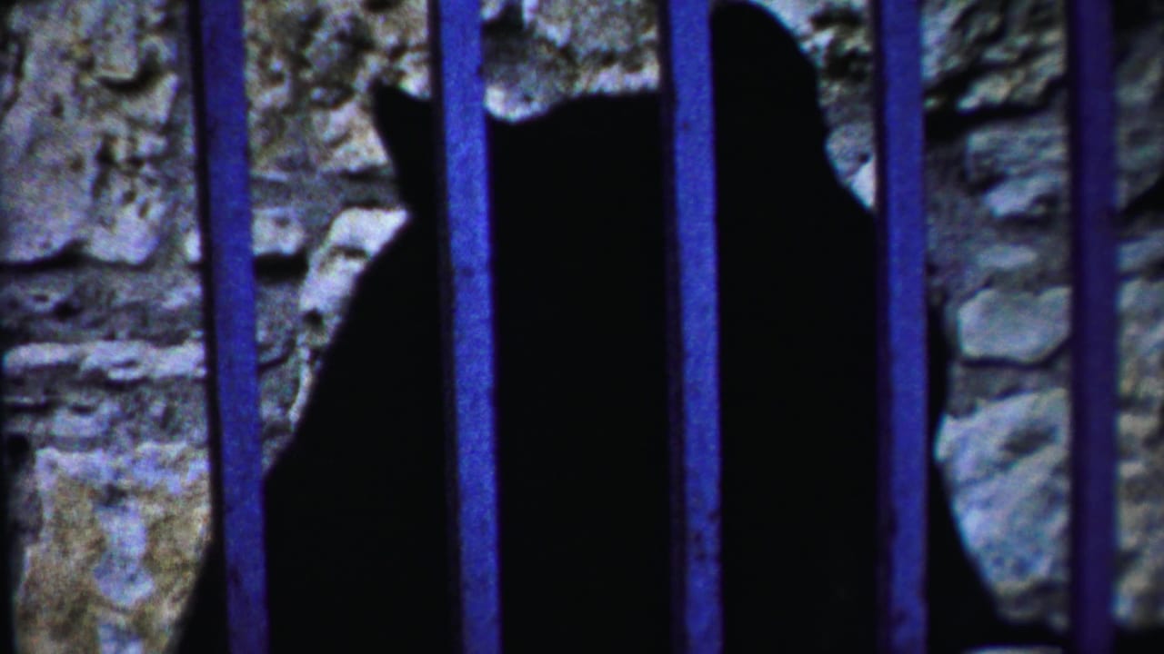 Deer head and body partly hidden by bars in front of stonework.