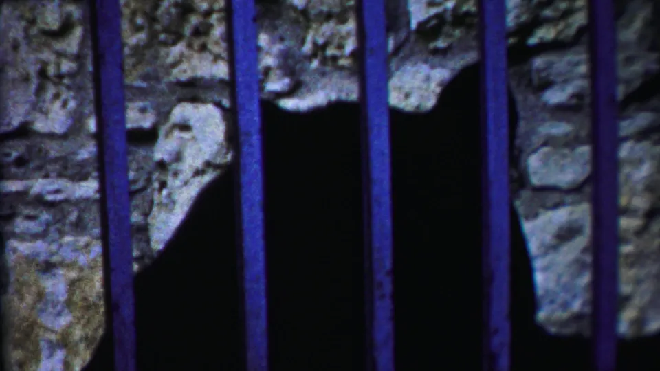 A dark deer form appears lower in the frame behind vertical bars, with the stone enclosure wall visible in 1958 footage.