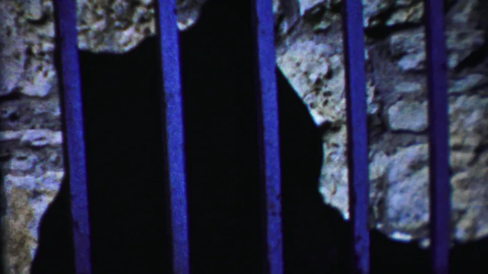 The deer is framed near the right side of the barred enclosure, its dark outline set against stonework in the 1958 Kansas clip.