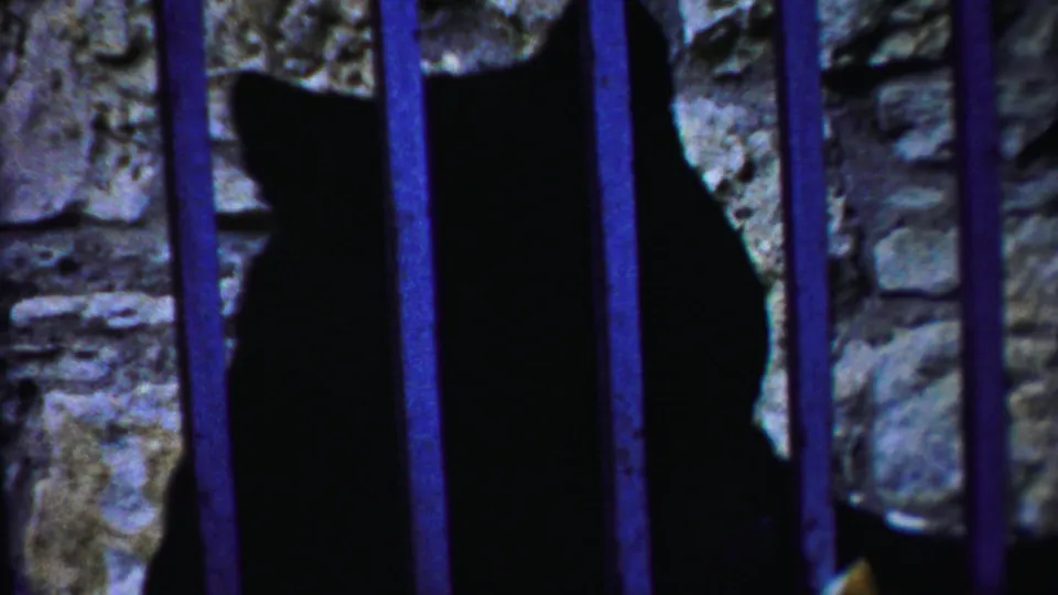1958 Kansas 8mm frame showing a dark bear-like animal behind blue cage bars in a stone-walled enclosure.