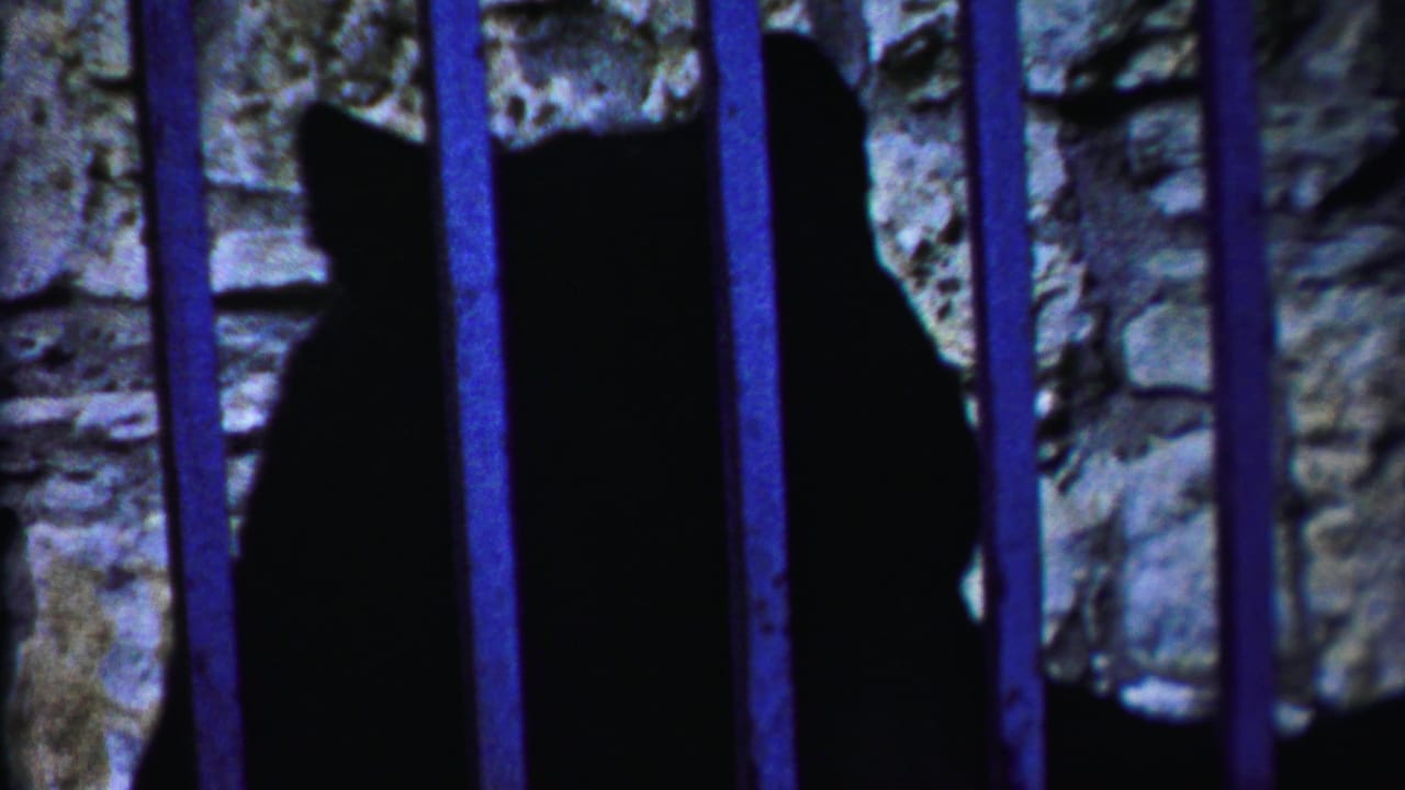Large dark animal shape partly obscured by blue bars and stonework.
